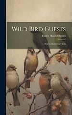 Wild Bird Guests: How to Entertain Them 