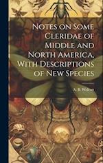 Notes on Some Cleridae of Middle and North America, With Descriptions of New Species 