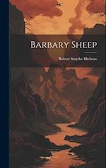 Barbary Sheep 