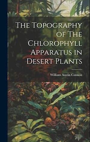 The Topography of The Chlorophyll Apparatus in Desert Plants