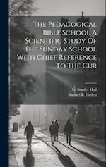The Pedagogical Bible School A Scientific Study Of The Sunday School With Chief Reference To The Cur 