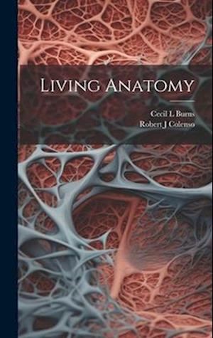 Living Anatomy: : Burns, Cecil L, Colenso, Robert J:  9781019880630: Books