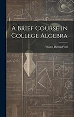 A Brief Course in College Algebra 