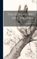 The Adventures of a Squirrel: Supposed to be Related by Himself 