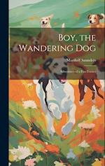 Boy, the Wandering dog; Adventures of a Fox-terrier 