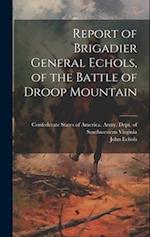 Report of Brigadier General Echols, of the Battle of Droop Mountain 