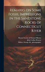 Remarks on Some Fossil Impressions in the Sandstone Rocks of Connecticut River 