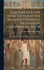 A History of Egypt From the End of the Neolithic Period to the Death of Cleopatra Vii., B.C. 30: Egypt Under the Priest-Kings, Tanites, and Nubians 