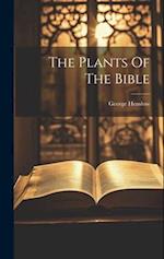 The Plants Of The Bible 