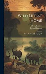 Wild Life at Home: How to Study and Photograph It 