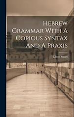 Hebrew Grammar With A Copious Syntax And A Praxis 