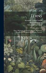 Ferns: Pteris, Hypolepis, Cheilanthes, Doodia, Blechnum, Woodwardia, Stenochlaena, Brainea, Lomaria 