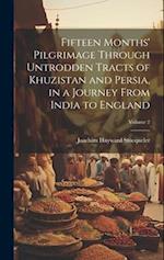 Fifteen Months' Pilgrimage Through Untrodden Tracts of Khuzistan and Persia, in a Journey From India to England; Volume 2 