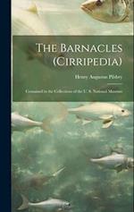 The Barnacles (Cirripedia): Contained in the Collections of the U. S. National Museum 