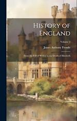 History of England: From the Fall of Wolsey to the Death of Elizabeth; Volume 2 