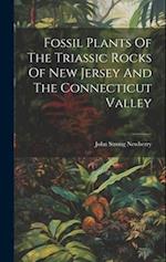 Fossil Plants Of The Triassic Rocks Of New Jersey And The Connecticut Valley 