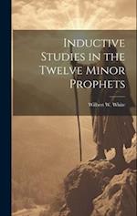 Inductive Studies in the Twelve Minor Prophets 