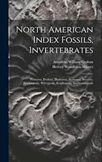 North American Index Fossils, Invertebrates: Protozoa, Porifera, Hydrozoa, Anthozoa, Bryozoa, Brachiopoda, Pelecypoda, Scaphopoda And Gastropoda 