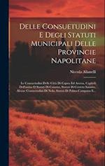 Delle Consuetudini E Degli Statuti Municipali Delle Provincie Napolitane