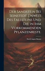 Der Sandstein bei Seinstedt unweit des Fallsteins und die in ihm vorkommenden Pflanzenreste.