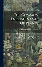 The Common English Names Of Plants 
