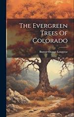 The Evergreen Trees Of Colorado 