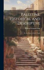 Palestine, Historical and Descriptive; Or, the Home of God's People 