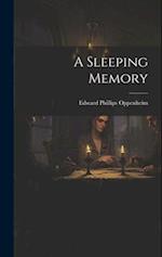 A Sleeping Memory 