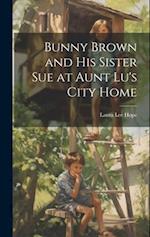 Bunny Brown and His Sister Sue at Aunt Lu's City Home 