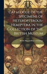 Catalogue of the Specimens of Heteropterous-Hemiptera in the Collection of the British Museum 