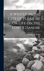 A Winter in the City of Pleasure Or Life on the Lower Danube 