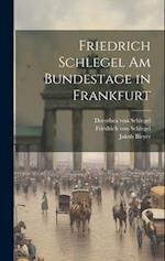 Friedrich Schlegel am Bundestage in Frankfurt
