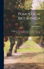Pomologia Britannica: Or, Figures And Descriptions Of The Most Important Varieties Of Fruit Cultivated In Great Britain; Volume 3 