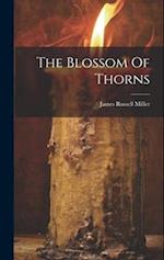 The Blossom Of Thorns 