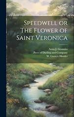 Speedwell or The Flower of Saint Veronica 