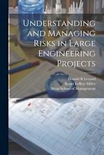 Understanding and Managing Risks in Large Engineering Projects 