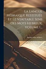 La Langue Hébraique Restituée Et Le Veritable Sens Des Mots Hebreux, Volume 1...