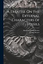 A Treatise On the External Characters of Fossils 