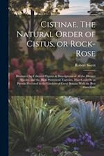 Cistinae. The Natural Order of Cistus, or Rock-rose; Illustrated by Coloured Figures & Descriptions of all the Distinct Species, and the Most Prominen