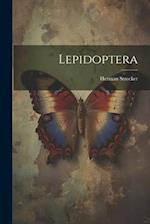 Lepidoptera 