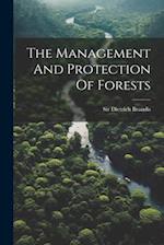 The Management And Protection Of Forests 