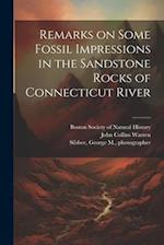 Remarks on Some Fossil Impressions in the Sandstone Rocks of Connecticut River 