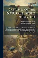 Sketches of the Natural History of Ceylon: With Narratives and Anecdotes Illustrative of the Habits and Instincts of the Mammalia, Birds, Reptiles, Fi