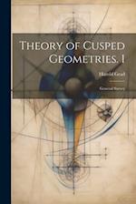Theory of Cusped Geometries. I: General Survey 