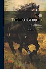 The Thoroughbred: His Breeding and Rearing 