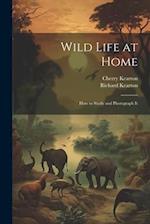 Wild Life at Home: How to Study and Photograph It 