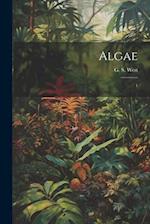 Algae: 1 