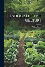 Indoor Lettuce Culture 