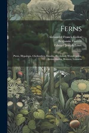 Ferns: Pteris, Hypolepis, Cheilanthes, Doodia, Blechnum, Woodwardia, Stenochlaena, Brainea, Lomaria