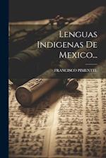 Lenguas Indigenas De Mexico...